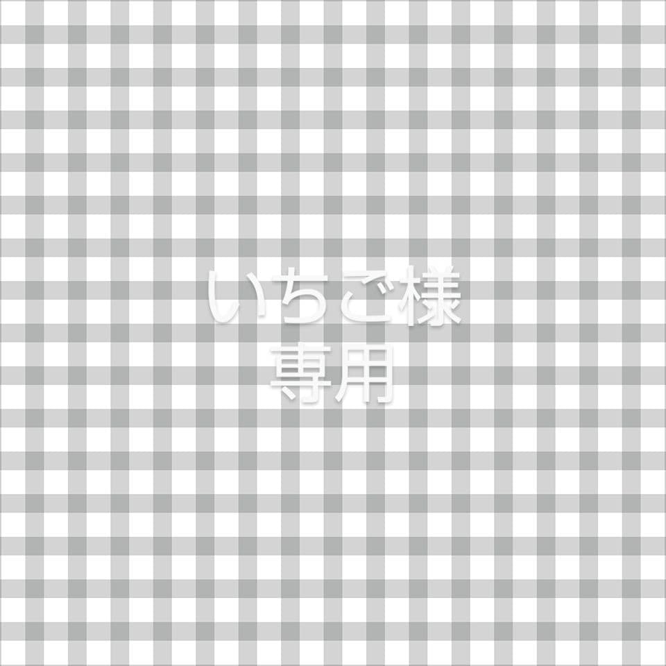 いちご 香川/KOKOROグループ]軸付き女峰いちご 1.0kg: JALショッピング｜JAL