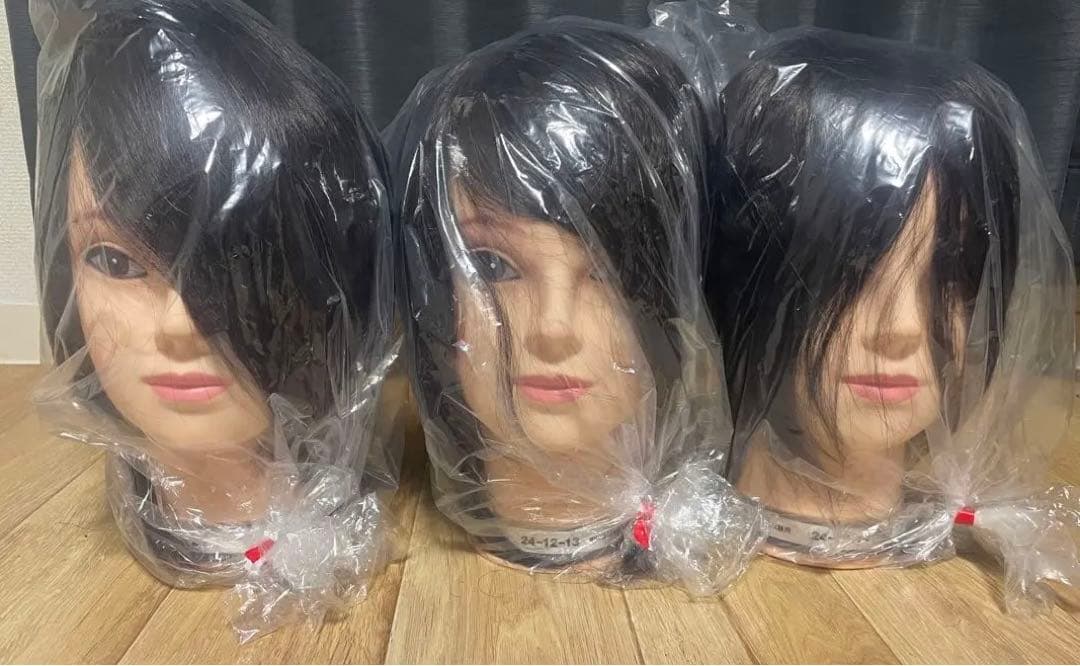 国試カットウィッグ3個セット 楽天市場】カットウィッグ 国家試験用 24-12-24 （人毛100％） 送料