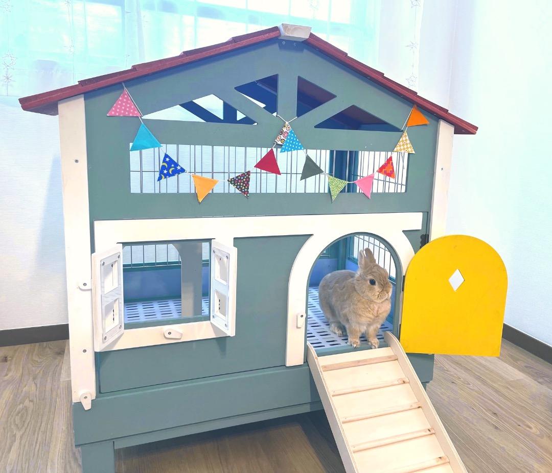 ＊訳あり激安！【もちつき】弐番館　北欧デザインペットハウス　うさぎ用ケージ Amazon | もちつき うさぎ用ケージ 壱番館 北欧デザインペットハウス