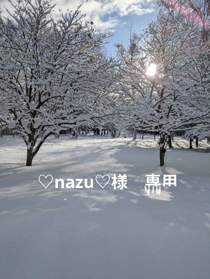 ♡nazu♡　バードアスレチック 展示用】自然木（ツタ）のぐるぐるバードアスレチック - 鳥豆堂