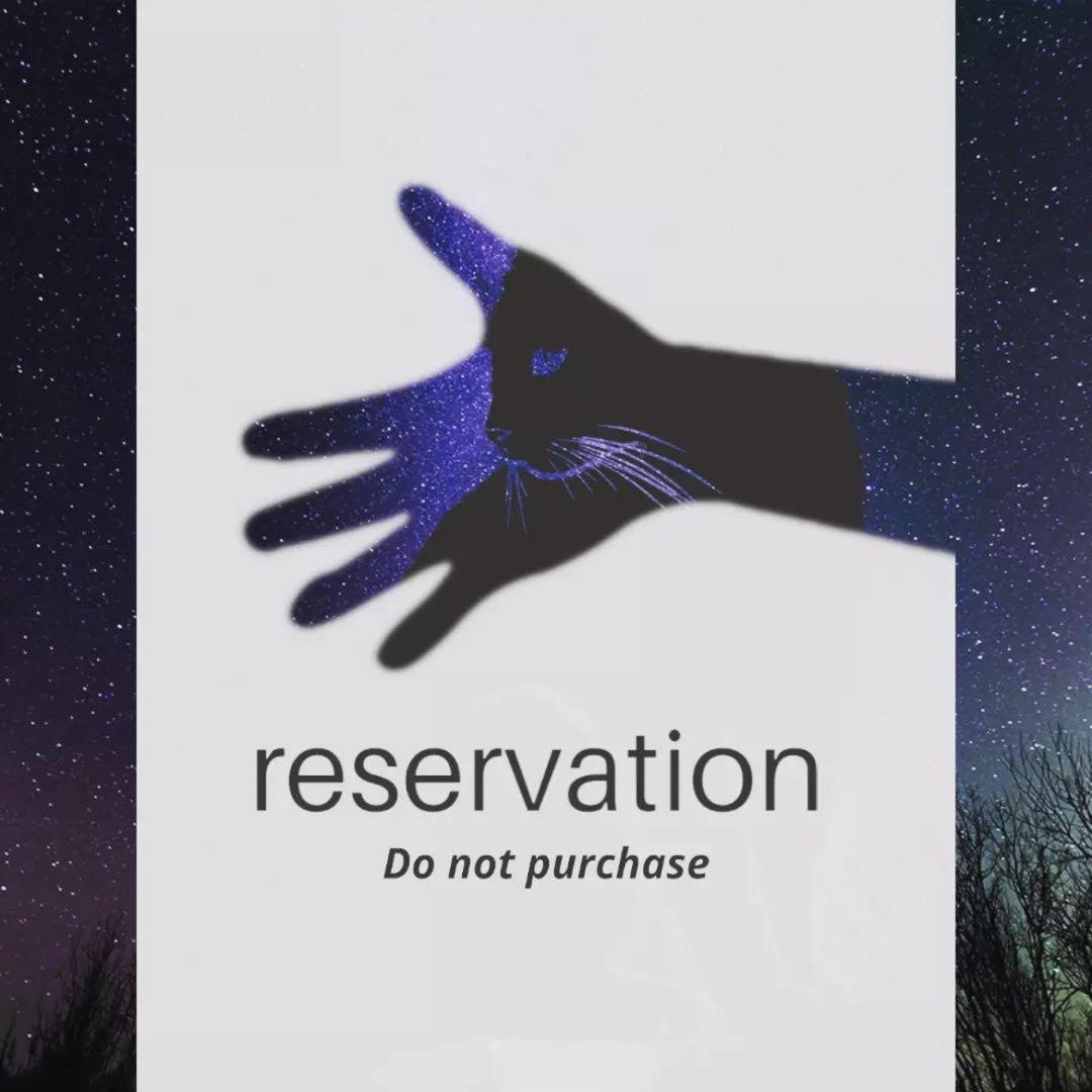 ☆ちょこすけ様 お取り置き☆ 新商品】八食センター限定 チョコQ助 個包装8入 | そうだぬ旅に出