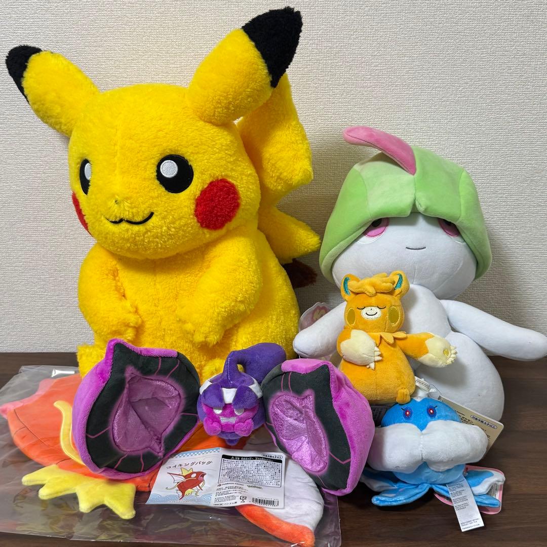 ポケモン ピカピカボックス2026 ポケモン福袋】ピカピカボックス2026の抽選申し込みはいつから？いつ