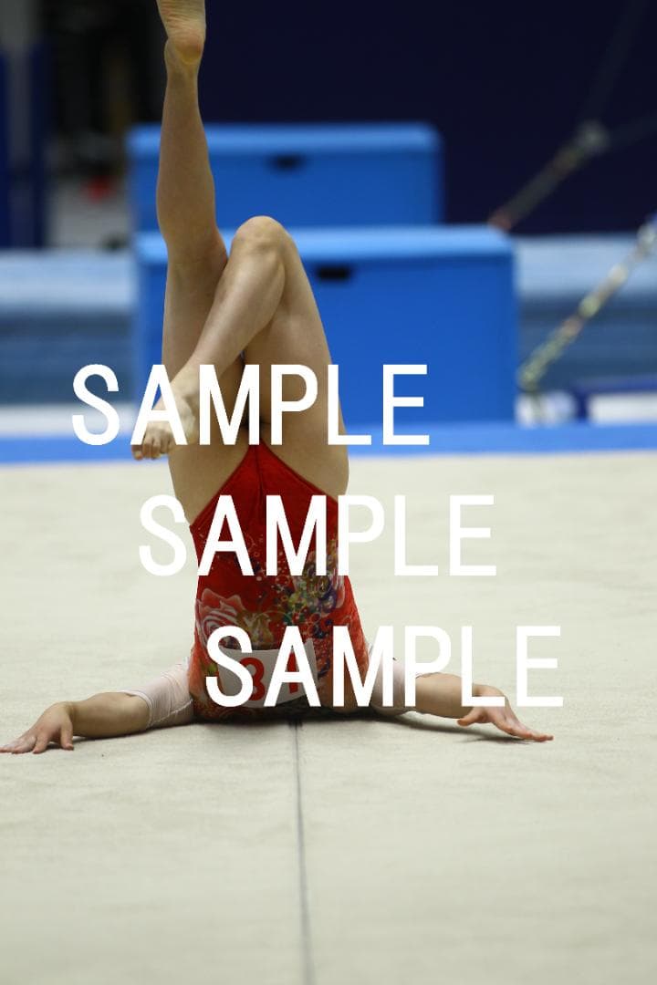 ★9/15まで値引★日本女子体操選手画像集(2019年) 約82,500枚 2019年全日本 体操日本女子選手画像集 約10000枚 - メルカリ