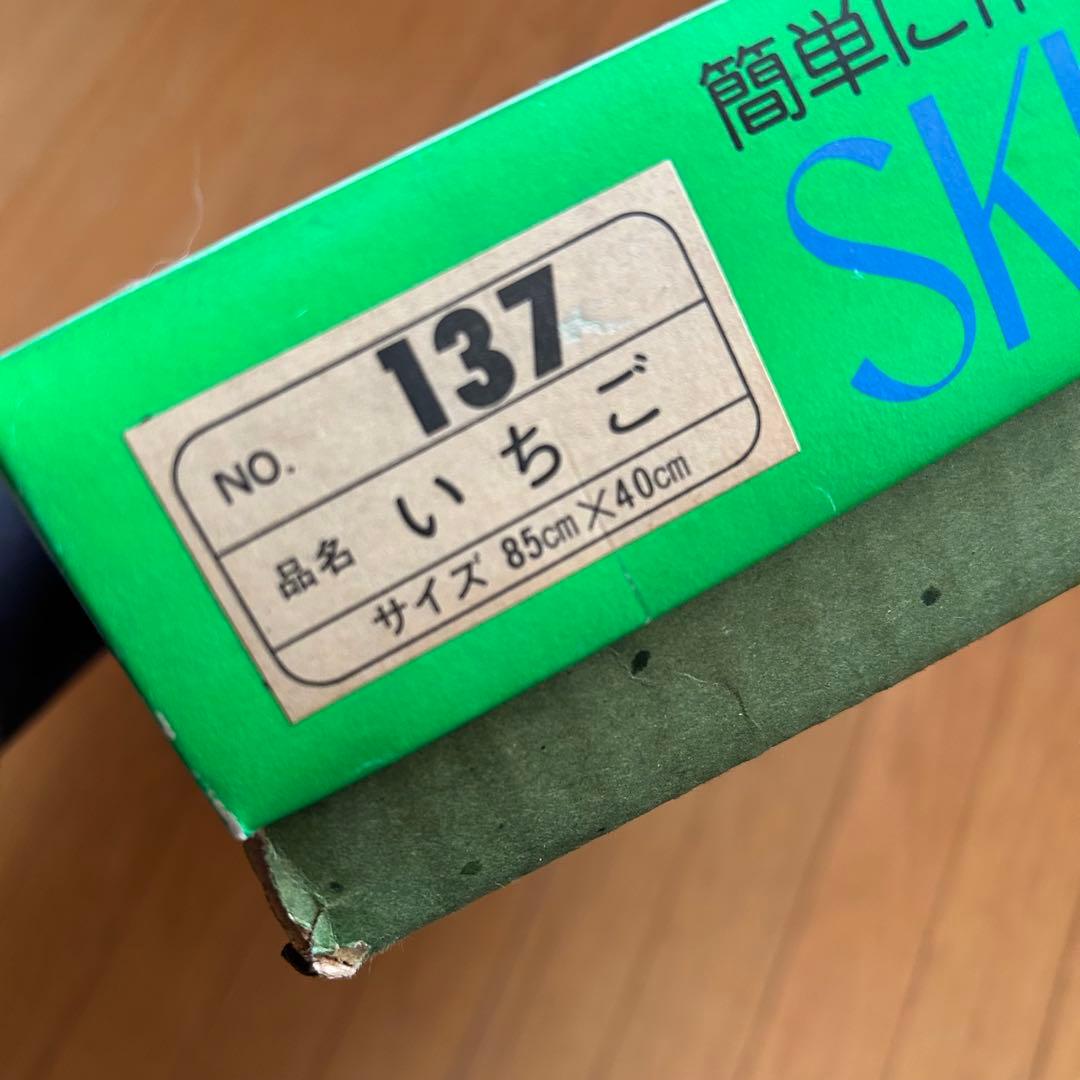 スキルスクリーン 玉暖簾 玉簾 ビーズのれん いちご 制作キット 昭和