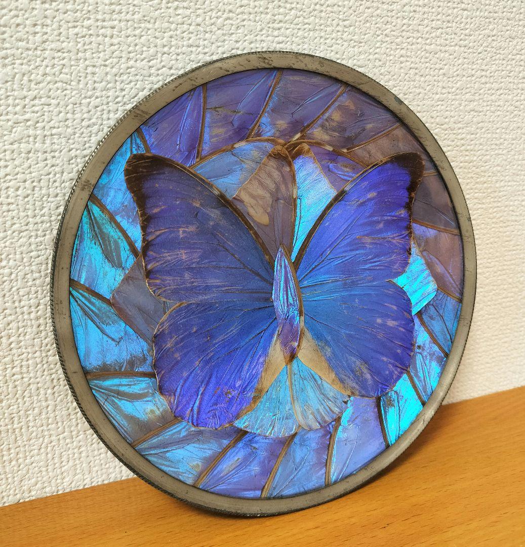 モルフォ蝶 バタフライウィング 壁掛け 飾り皿 プレート - メルカリ