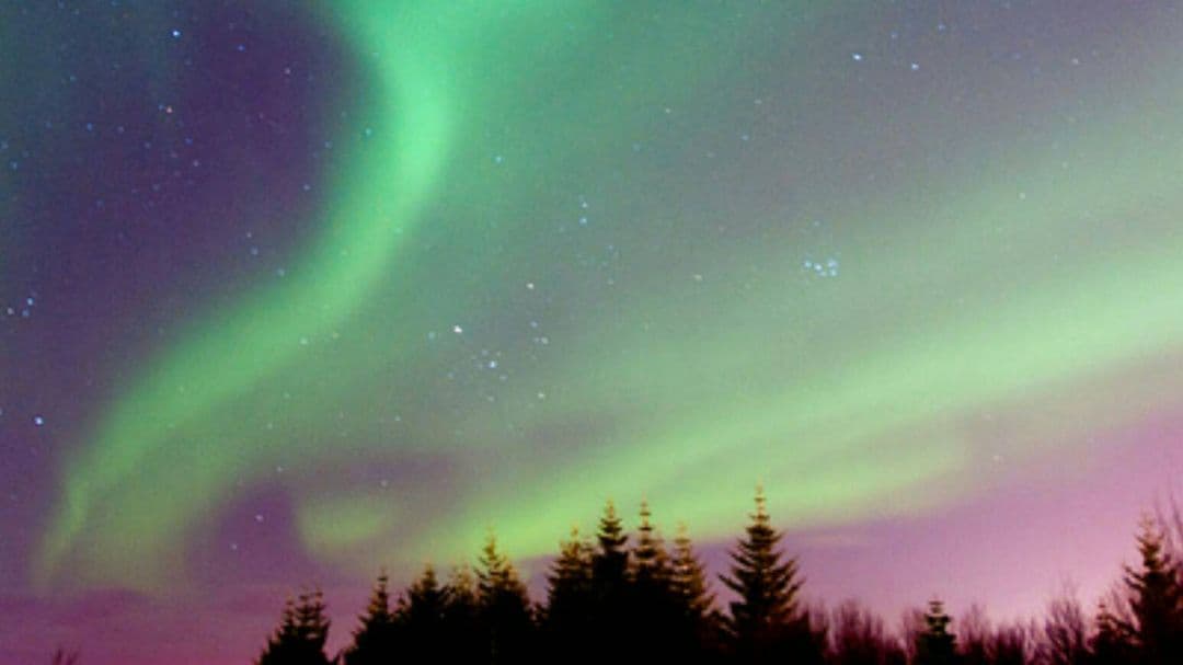 めぐ アウトレット価格]MADE IN JAPAN(メイドインジャパン)(一部店舗限定