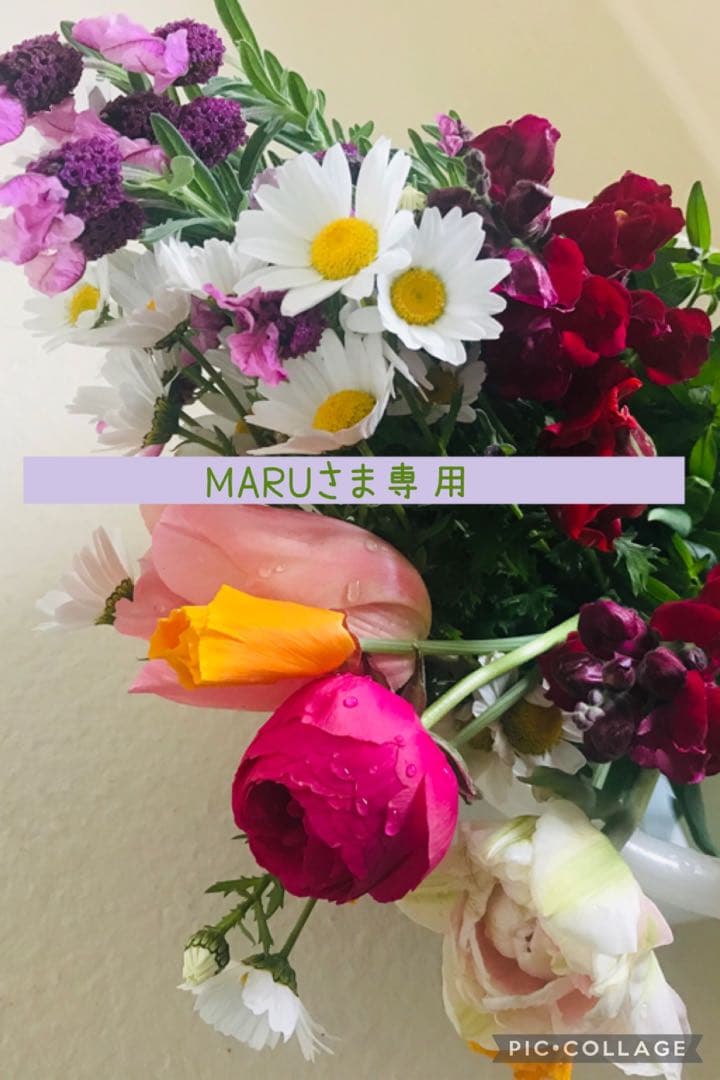 Maruさま専用　ミレットサイズ下着セットオーダー　ピンク＆アイボリー ピュアシェリ スウィートシフォンフリル×ケミカル ブラセット ABCD