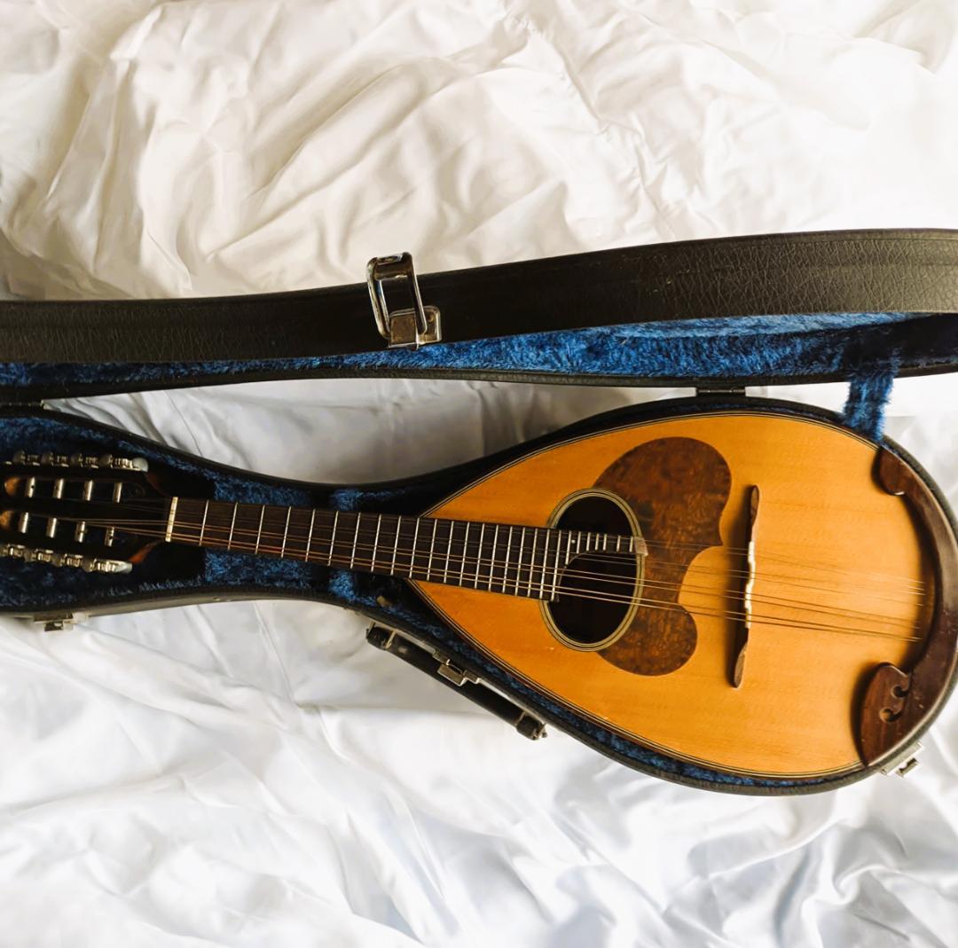 ✨SUZUKI M-30 木製 8弦マンドリン 本体 ＋ 専用ハードケース付き✨ 即納】SUZUKI M-30 マンドリン 本体 ハードケース ピック - メルカリ
