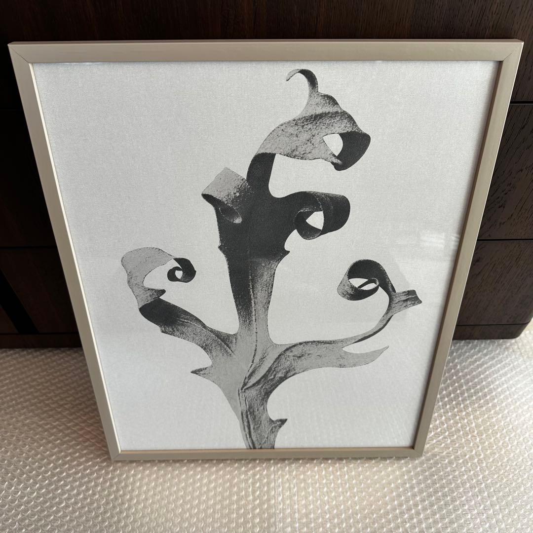 BoConcept ボーコンセプト アートパネル Form in nature Silent art Gallery | Gallery | Silent art | | BoConcept