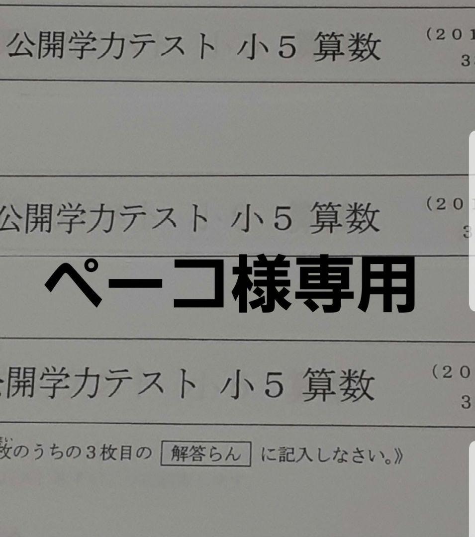 ペーコ 2.ゼログランド ペニー mens. 0.0 | COLE_HAAN