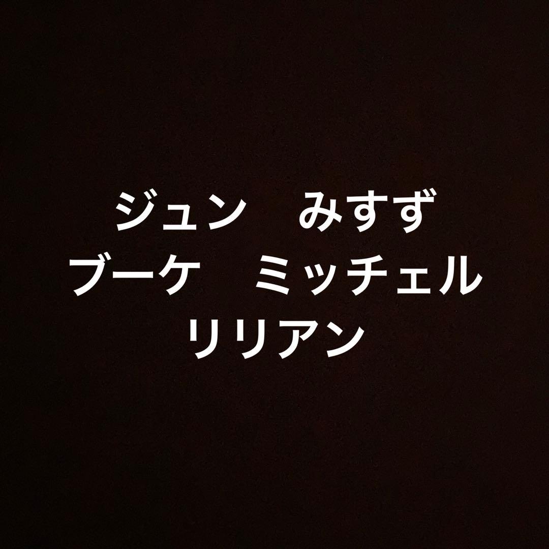 アミーボカード　ミッチェル　リリアン アミーボカード ミッチェル リリアン あつまれどうぶつの森 amiibo