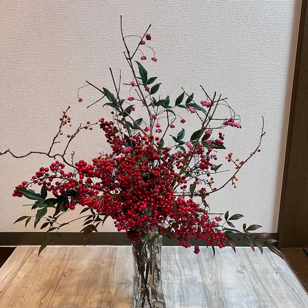 けんけん、2点商品 Kenko ケンコー 保護フィルター 67mm ZX II （ゼクロス II