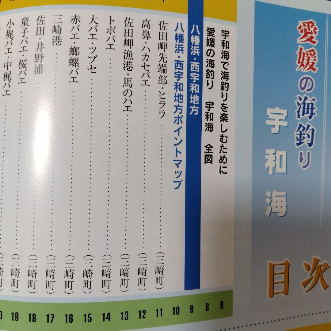 愛媛の海釣り宇和海 : 空撮ポイント - メルカリ