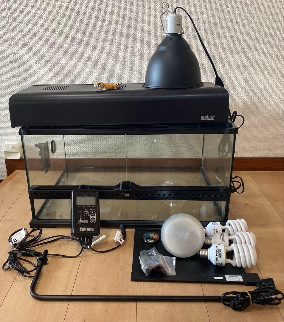 ★ペント様★ 飼育セット　飼育スターターキット 楽天市場】飼育セット・スターターセットの通販