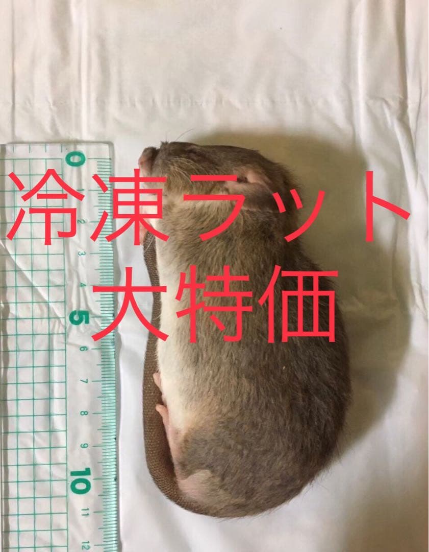 冷凍ML100匹 Amazon | SAMKYO 冷凍庫 100L 上開き式 家庭用 チェストフリーザー