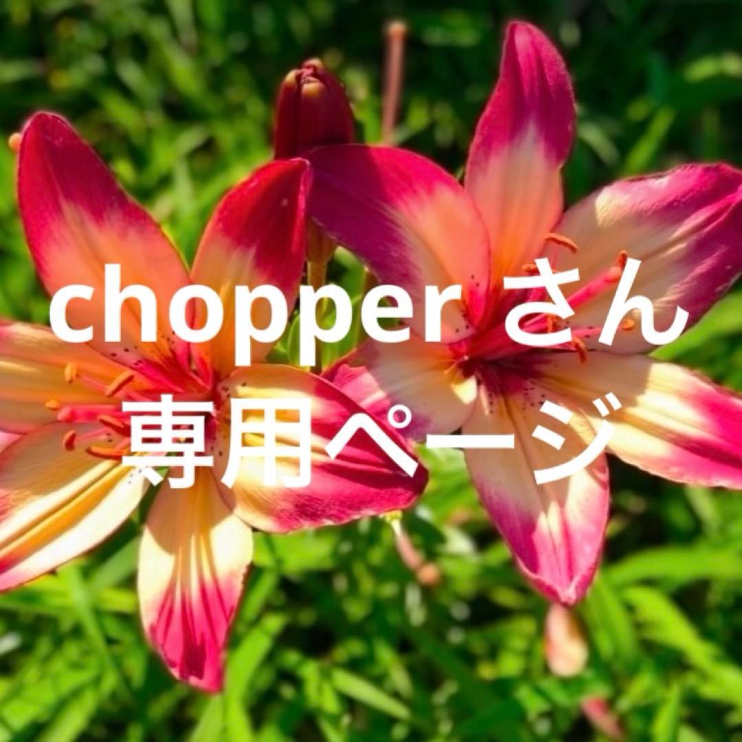 chopper さん tekupiku Chopper (ONE PIECE CHOPPER's) | TAMASHII WEB