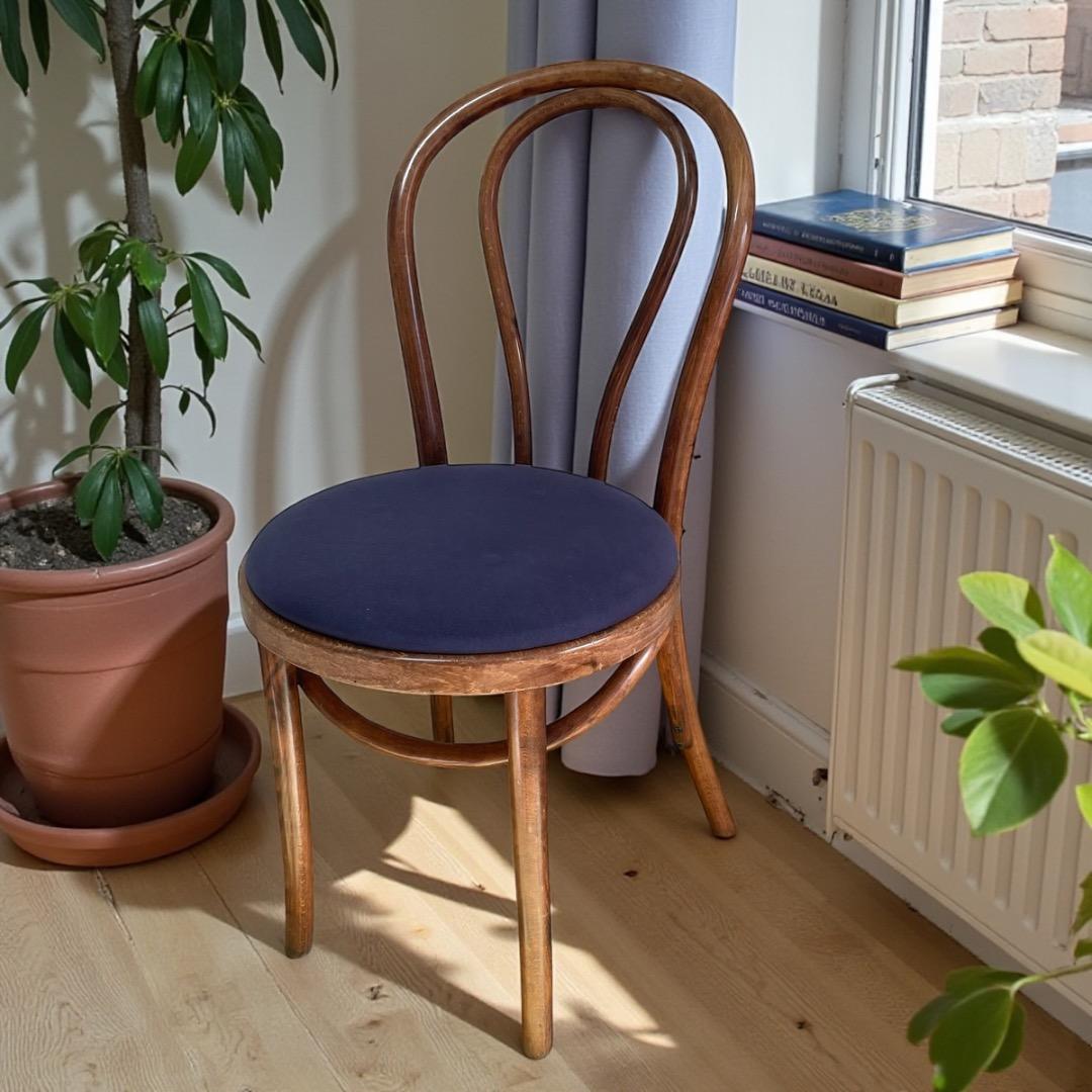 希少　maruni　曲木椅子　ベントウッドチェア　ビンテージ　アンティーク 曲木チェア ベントウッドチェア フランスアンティーク ⑳-2 | OGISHIMA