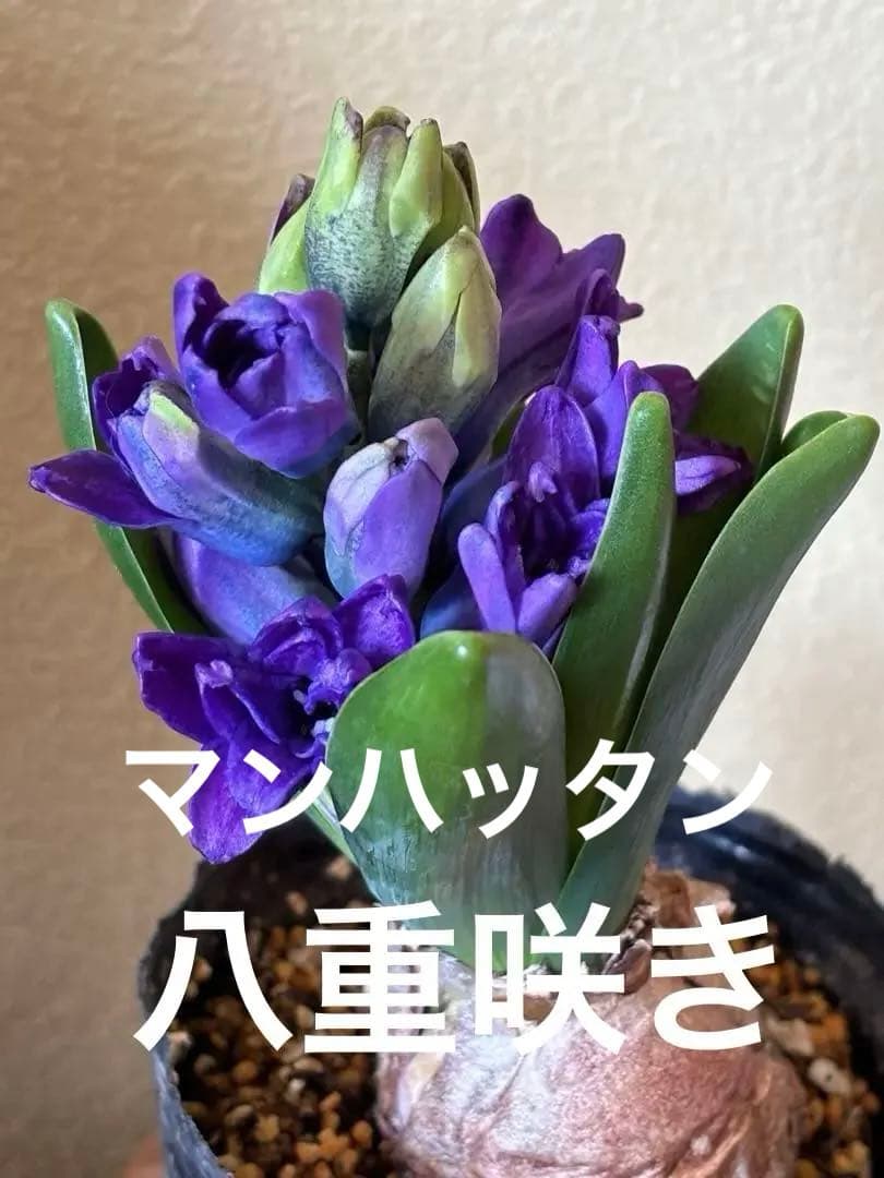 マカロン様 リクエスト 2点 まとめ商品 - メルカリ