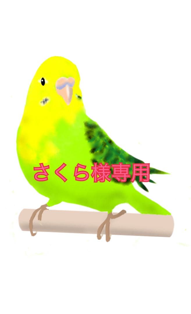 林檎止まり木（オーダー） 楽天市場】鳥 止まり木 タワー インコ カナリア 文鳥 十姉妹 多頭 複数