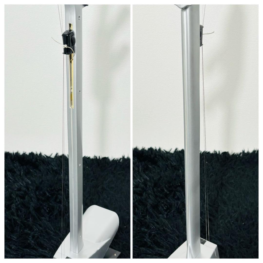 ジョーヨー JU-05 電子二胡 エレキ二胡 セミハードケース付 民族楽器 希少