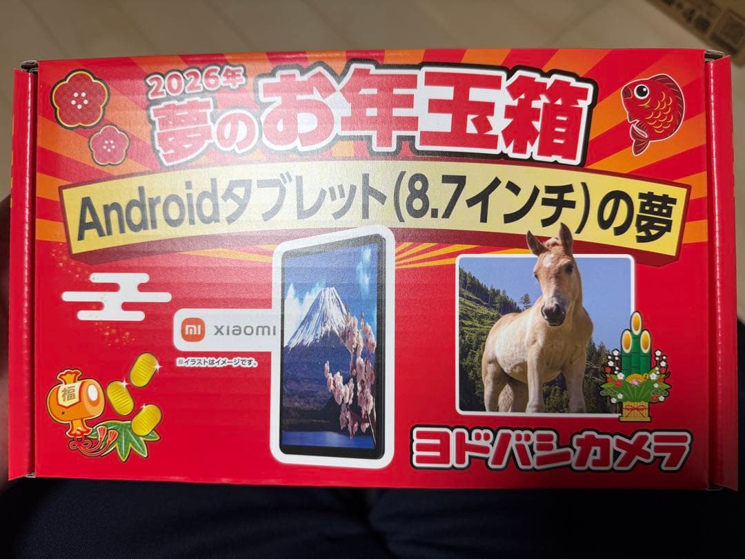 ヨドバシカメラ 夢のお年玉箱 Androidタブレット（8.7インチ）の夢 ヨドバシカメラ 夢のお年玉箱 Androidタブレット（8 7インチ）の夢