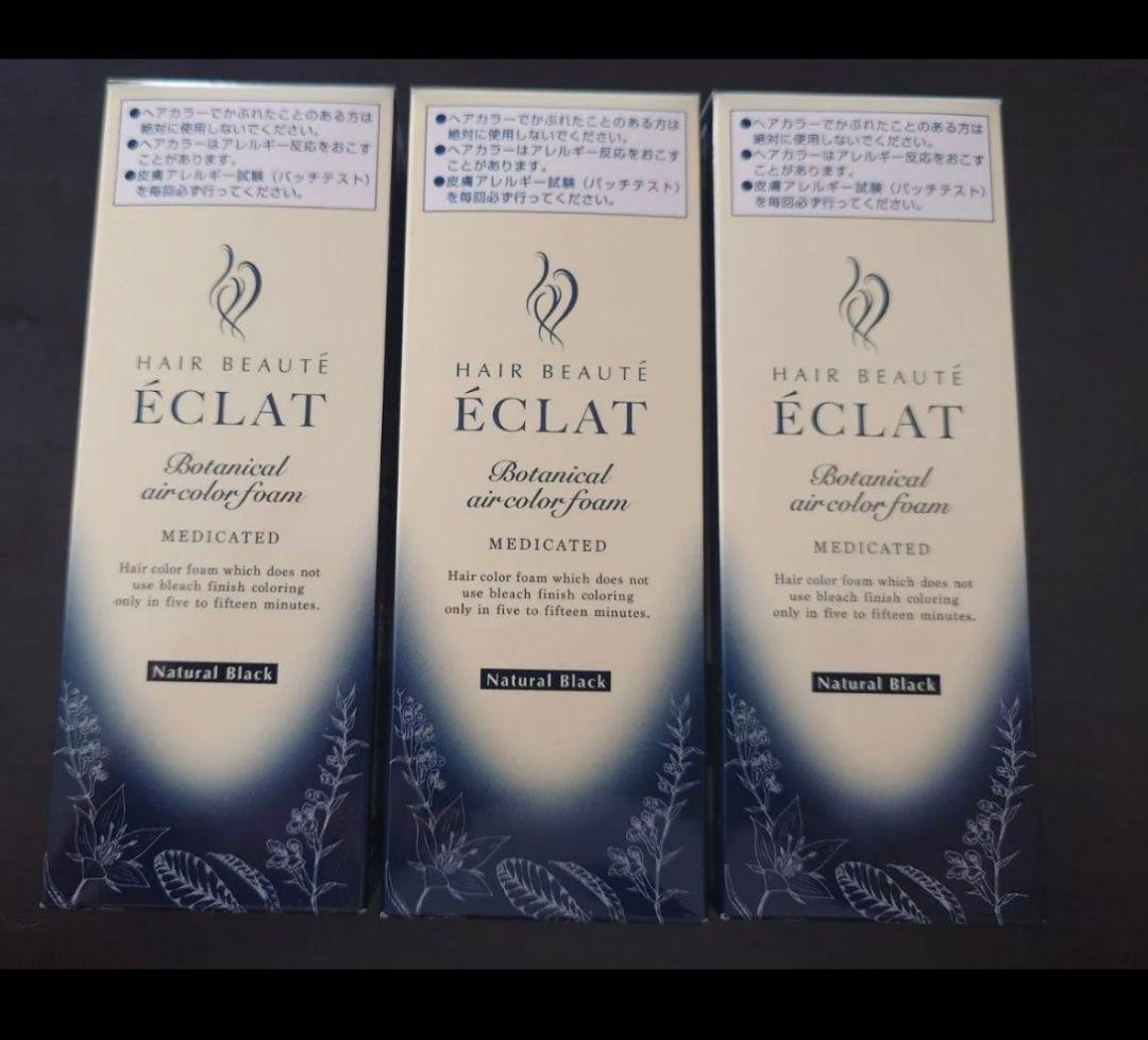 ÉCLAT ボタニカルエアカラーフォーム ナチュラルブラック 80gx3本セット ヘアボーテ エクラ ボタニカルエアカラーフォーム ナチュラルブラック
