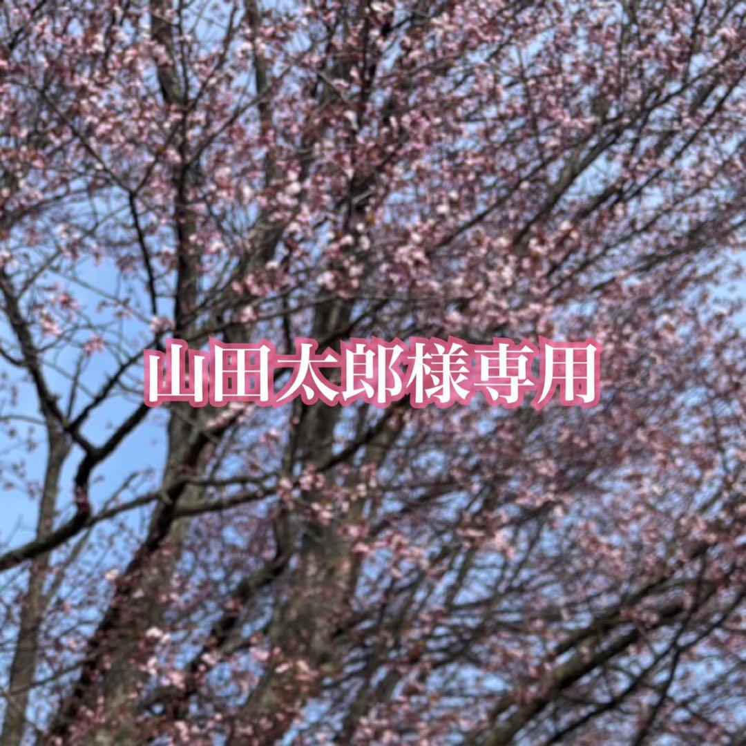 専用　チベットシルバー999 ネックレス×2 韓国 シルバー ネックレス 二連 2連 スネークチェーン ハート