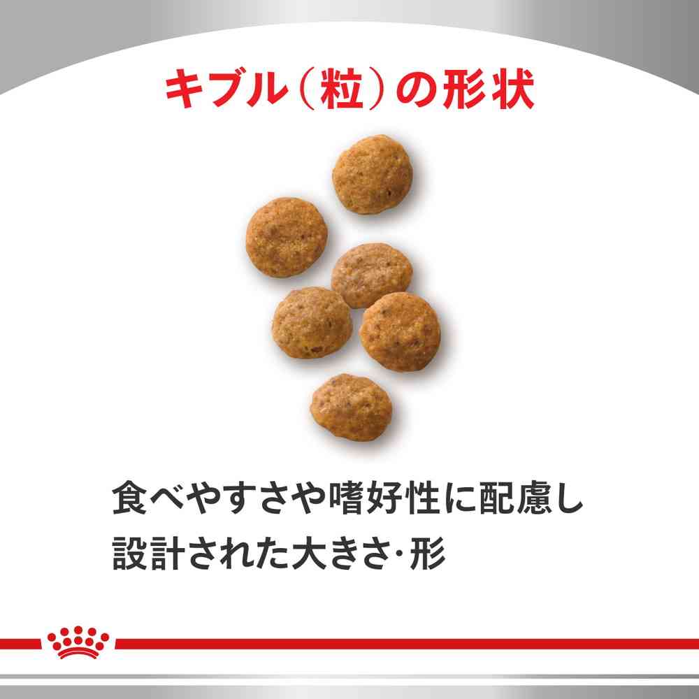 猫用 ユリナリーS/O+エイジング7++CLT 500gx1